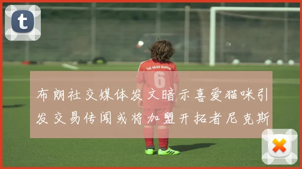 布朗社交媒体发文暗示喜爱猫咪引发交易传闻或将加盟开拓者尼克斯雷霆湖人