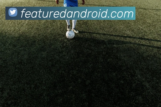用户互动社区